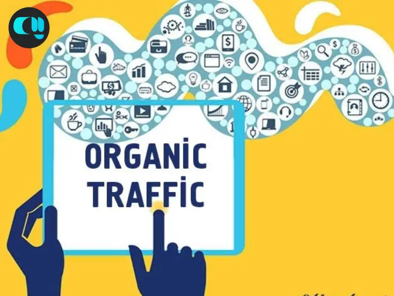 رشد ترافیک ارگانیک (Organic Traffic Growth)